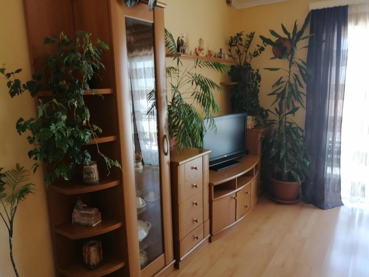 Goga Apartments Primošten Buitenkant foto